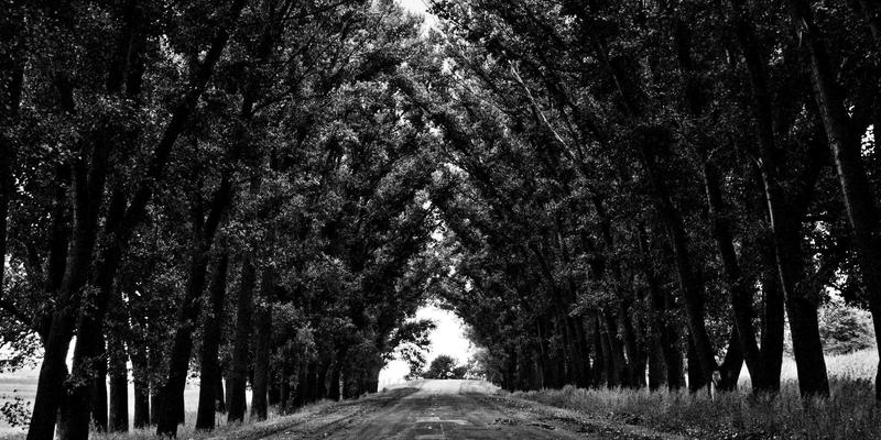 武汉金地人和业主委员会：社区自治与物业协同的典范实践