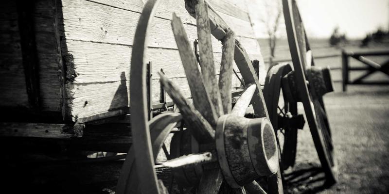 武汉金地人和业主真实居住体验分享：社区氛围与邻里关系如何？