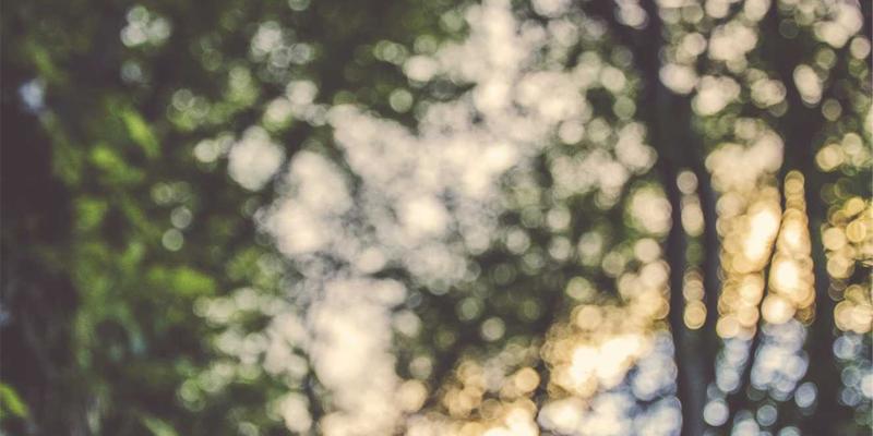 武汉金地人和交房标准全解析：精装细节与一线材料品牌揭秘