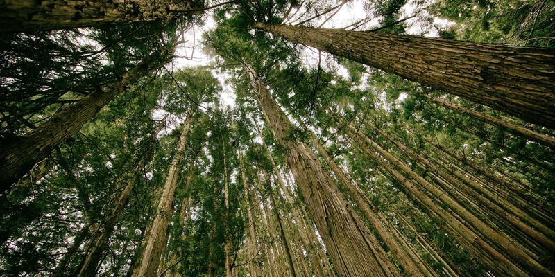 武汉金地人和商业配套成熟度深度解析：从社区底商到大型商圈的步行可达性如何影响居住价值