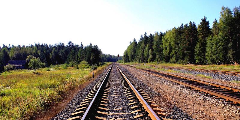 武汉金地人和教育配套深度解析：对口学校与入学政策全知道