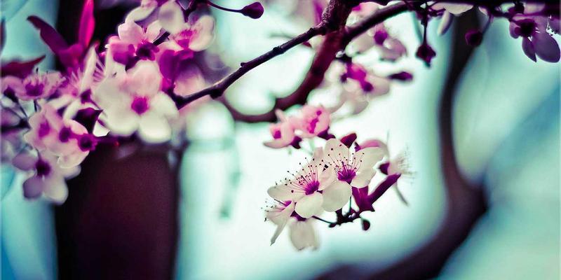 武汉金地人和未来五年保值增值潜力分析：卓越物业管理如何成为房产价值压舱石