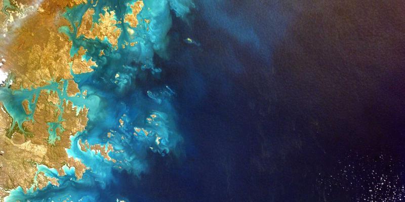 武汉金地人和购房者画像深度解析：优质物业服务与房地产开发如何吸引城市精英