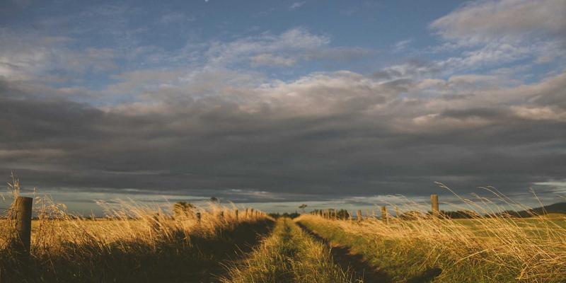 武汉金地人和车位配比与停车管理深度解析：租售价格、日常体验与置业参考