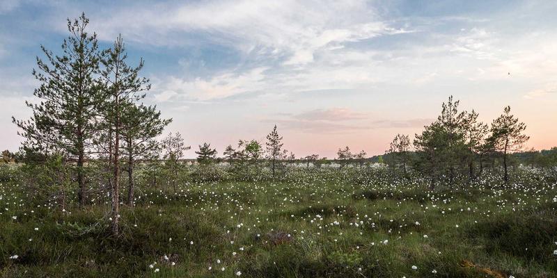 武汉金地人和适合哪类人群购买？深度解析年轻家庭、改善型与投资者的置业选择