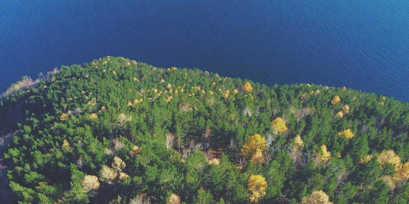 武汉金地人和项目深度解析：开发商背景与资金实力能否保障楼盘顺利交付？